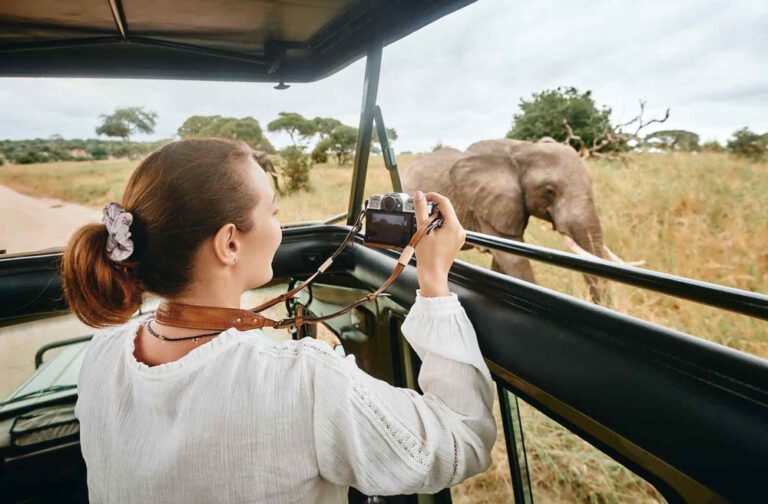 Why Ecotourism is the Future of Travel in Africa: A Comprehensive Overview