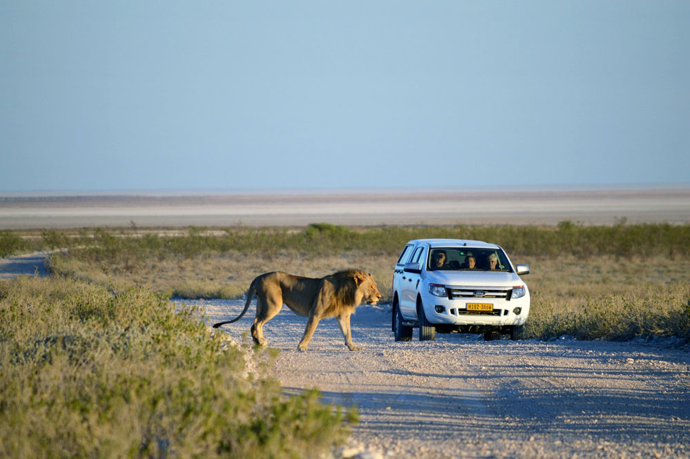 best-time-to-visit-namibia-01