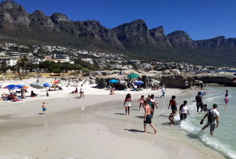 The Top 10 Best Beaches in Cape Town for Surfing, Scuba Diving, and Penguin Spotting