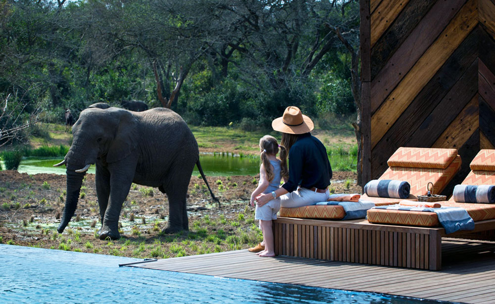 south africa family tours