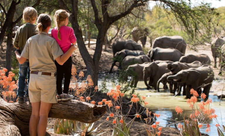 South Africa Family Tours: A Guide to the Best Family-Friendly Activities and Destinations
