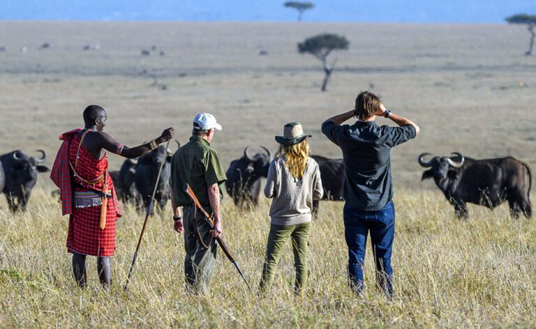 From Game Drives to Hot Air Balloons: 10 Must-Do Activities in Masai Mara Game Reserve