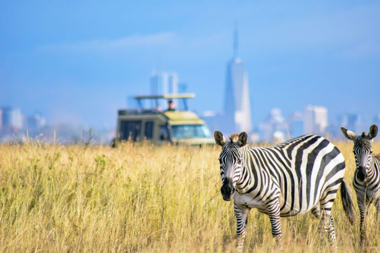 Beyond the Concrete Jungle: Nairobi National Park’s Urban Safari