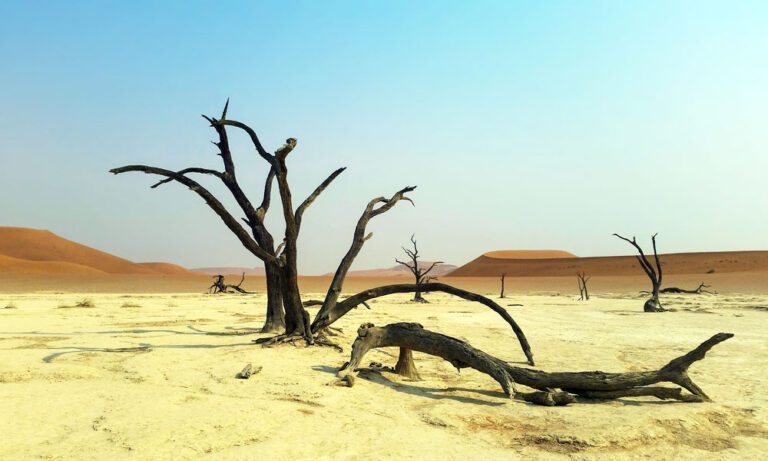 Into the Unknown: Exploring the Namib Desert’s Hidden Wonders