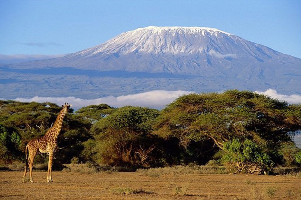 Mt Kilimanjaro, Tanzania