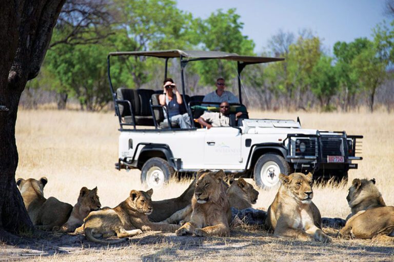 5 Reasons Why Zimbabwe National Parks Should Be on Your Travel Bucket List
